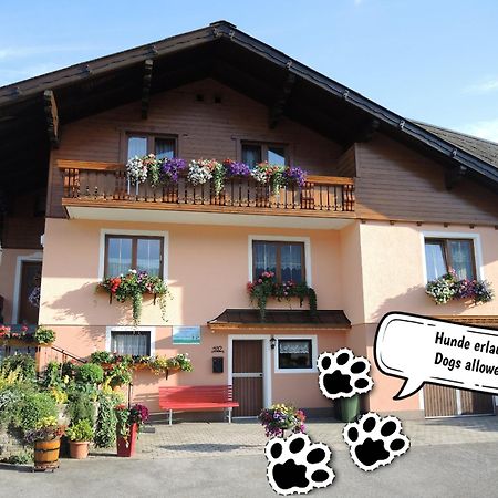 Appartement Am Hauser Kaibling Haus im Ennstal Zewnętrze zdjęcie
